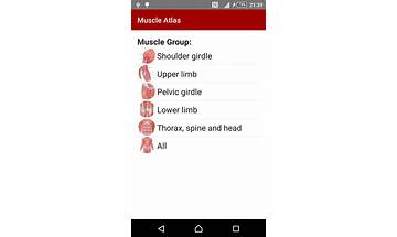 Muscle Atlas for Android - Download the APK from Habererciyes